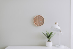 Minimalism: Embracing Simple, Sustainable Lifestyle